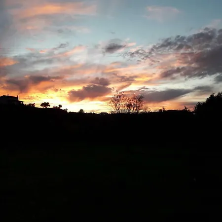 Irene Casa de Campo *