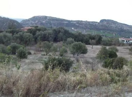 Irene * Bosa